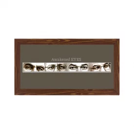 قاب چشم های بیدار ( افقی 30*15)