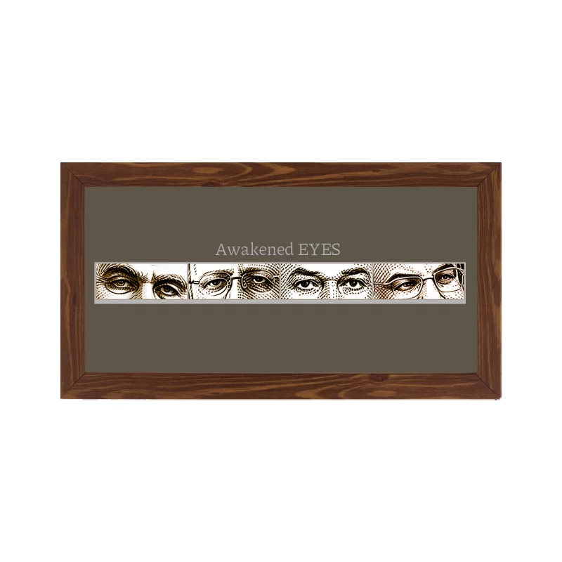 قاب چشم های بیدار ( افقی 30*15)