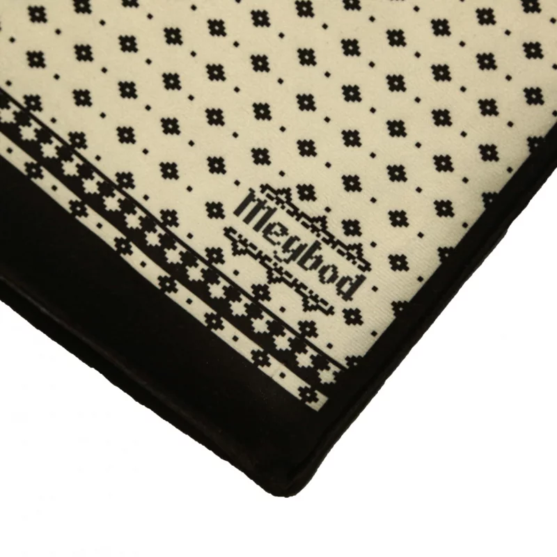 رانر زیلو کوچک