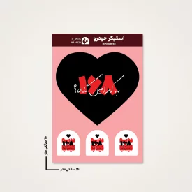 استیکر ماشین  مدرسه میناب 04  14*20